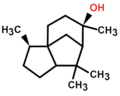 Cedrolo