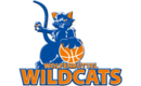 Logo du Wolfenbüttel Wildcats