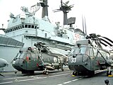 Elicotteri Sea King sul ponte di volo (Destined Glory 2001)