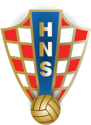 Shirt badge/Association crest