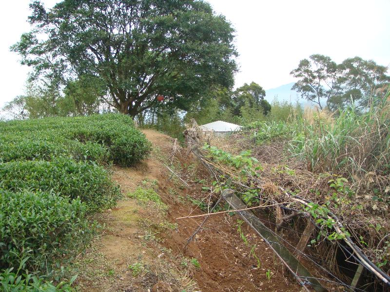 三灣鄉山塘背風景區第三期改善工程施工前