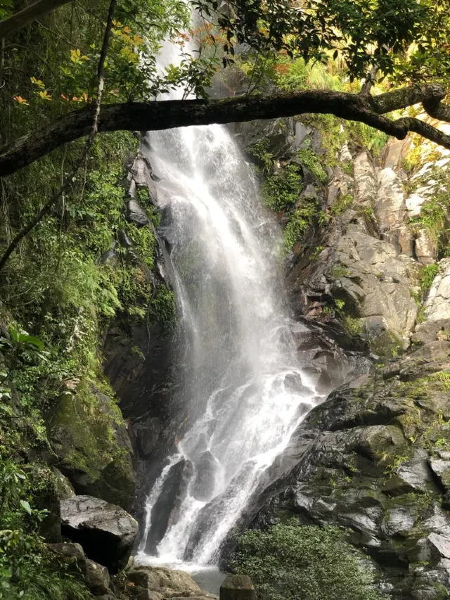 【瀑布健行】盤點六大香港瀑布 梧桐寨瀑布 瀑布灣公園 新娘潭瀑布 夏日消暑透心涼