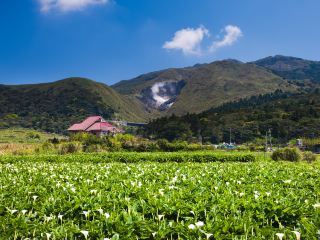 深圳飛桃園機場