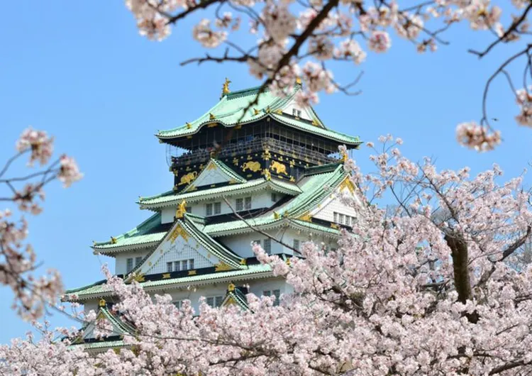 【大阪櫻花2024】🌸日本大阪櫻花季開花預測、必去大阪賞櫻景點🌸