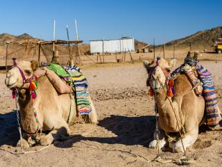 Voli diretti per Hurghada