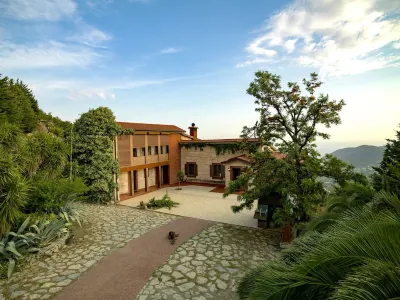 Villa Vino