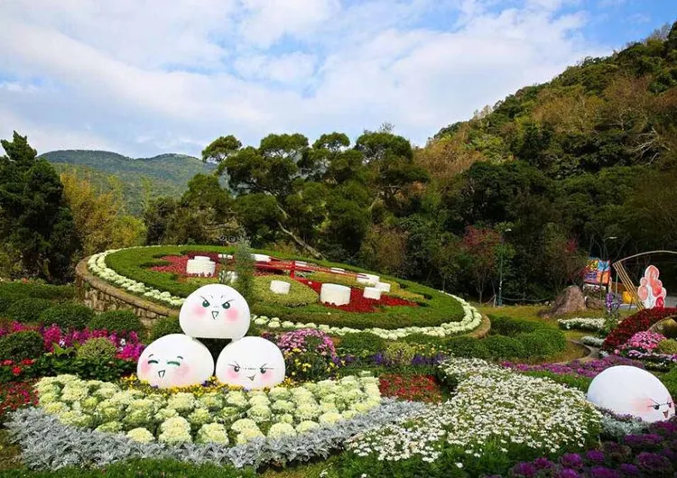 【2024陽明山花季】花況時間、賞花景點、交通資訊！✿✿✿