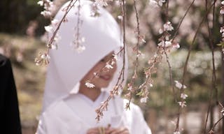 Japan Wedding Bride