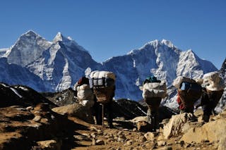 Porters on Everest Trek