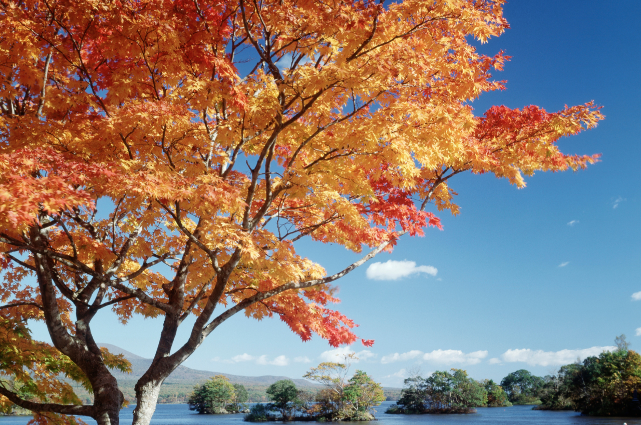 北海道季節