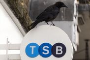 act-now-secure-190-from-tsb-essential-steps-new-customers-before-offer-expires