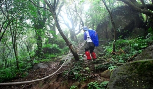 陽明山東西大縱走