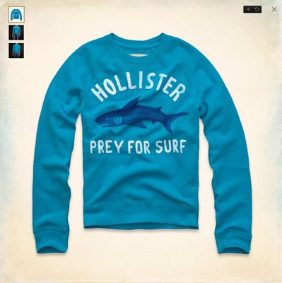 ☆瘋米國衣舖☆ Hollister HCO 淺藍色 男生圖案長袖T恤 海鷗 經典 美式 加州帶回