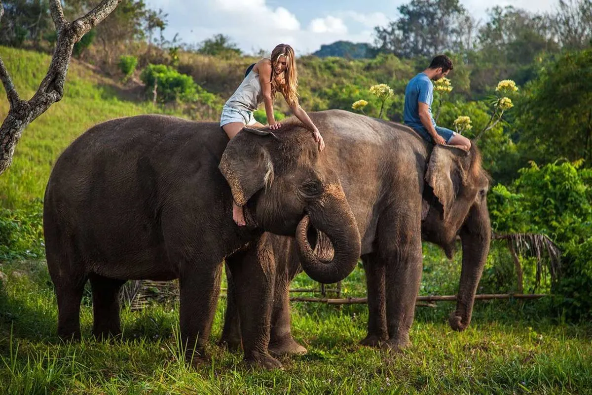 Serunya Berpetualang di Bali Zoo