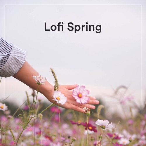 Lofi Spring