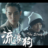 Namewee (黃明志) - The Stray (流浪狗 (feat. 蕭敬騰))