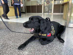 電子偵測犬建功 高市警破獲洗錢機房集團起獲關鍵事證