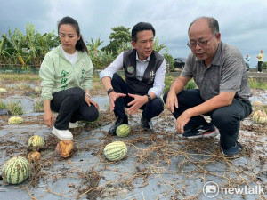林俊憲會勘新化西瓜災情 農糧署將加速認定災損助農民度過難關