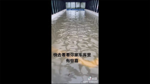 (影) 官僚殺人! 豪雨釀災 湖南87水庫還無預警同時洩洪 網批：根本大屠殺