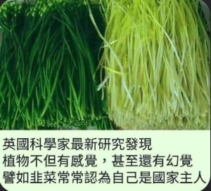 徹底反映老百姓心聲! 中國票選國花 「它」竟遙遙領先 網笑：常幻想自己是國家主人