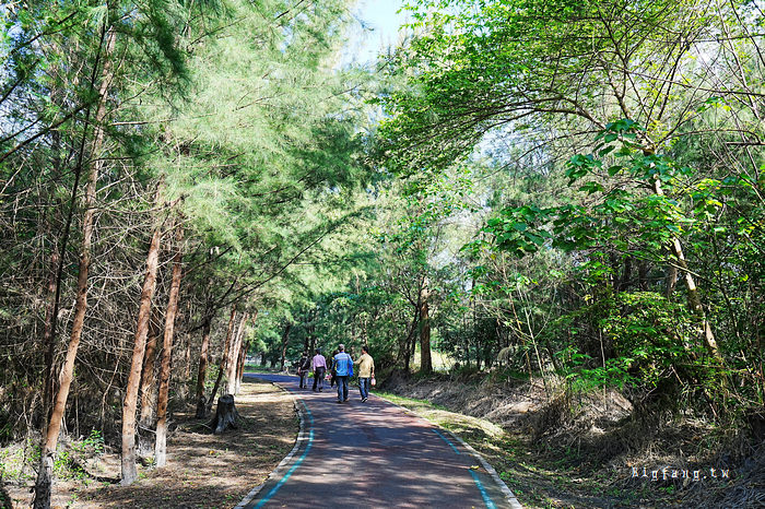 台東森林公園