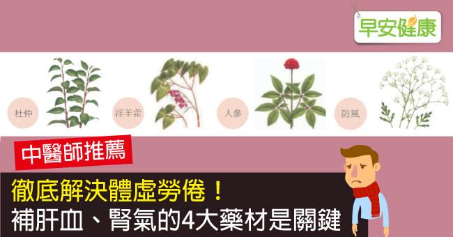 徹底解決體虛勞倦！補肝血、腎氣的4大藥材是關鍵