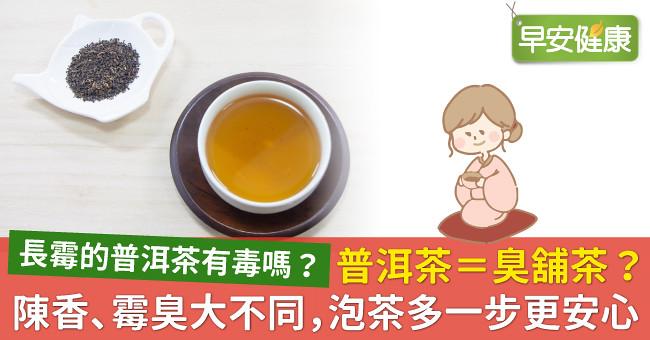 普洱茶＝臭舖茶？陳香、霉臭大不同，泡茶多一步更安心