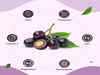 10 Best Jamun Powder for Diabetes in India