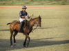 How the Amateur Riders’ Club successfully navigated Mumbai’s polo season