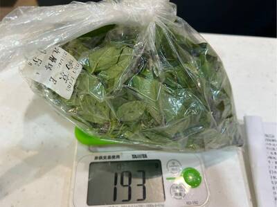 北市抽驗蔬果農藥殘留13件不合格  九層塔、韭菜花較多