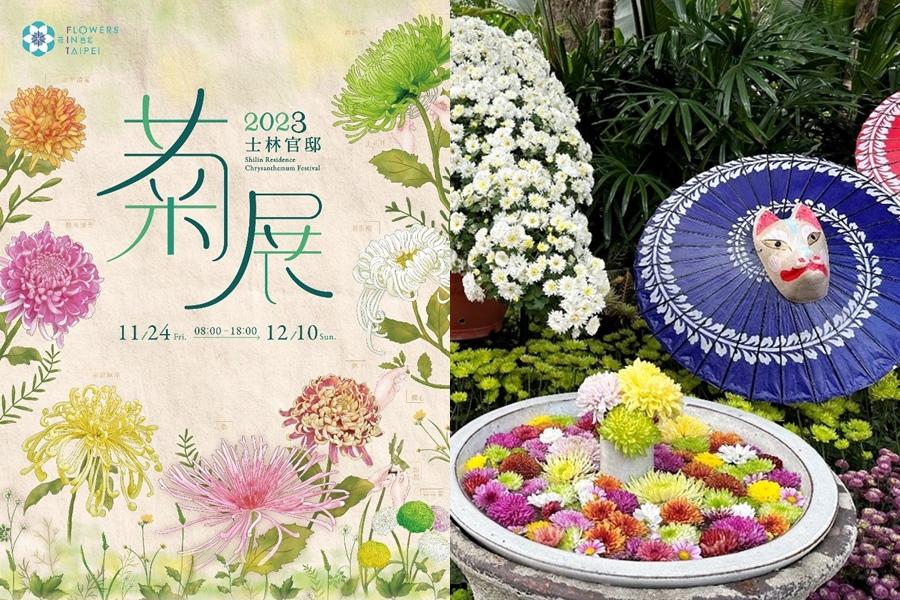 士林官邸菊展11/24登場！13展區重現日本最古老菊花慶典、大玩戶外實境解謎