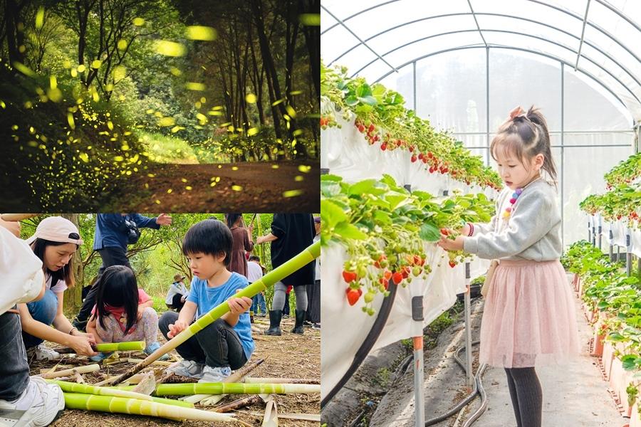 親子春遊趣》台北內湖草莓季採果DIY拿好康！新竹秘境農場賞螢火蟲露營