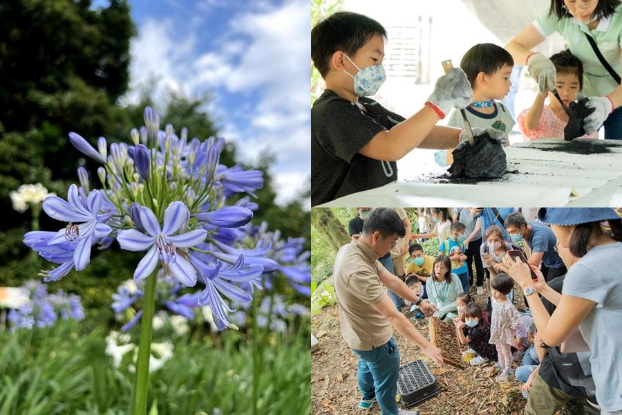 台北預約制生態秘境5/11起免費開放！內雙溪自然中心千株愛情花盛開