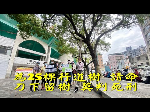 民團護25棵行道樹籲莫判死刑 新北：專家評估