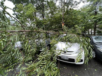 軒嵐諾高雄颳強風吹落廣告帆布 路樹傾倒壓4車