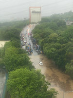 台中多處積水路樹倒塌  近中午雨勢漸趨緩