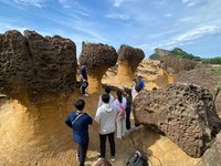 北科大師生砂岩強化技術 助野柳海岸保育地質景觀