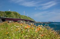 國際景觀大獎  北部濱海公路及合歡山路段獲殊榮