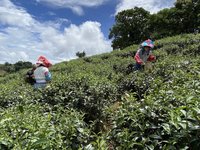 助震災後農村經濟推「農粉幣」  花蓮辦業者說明會