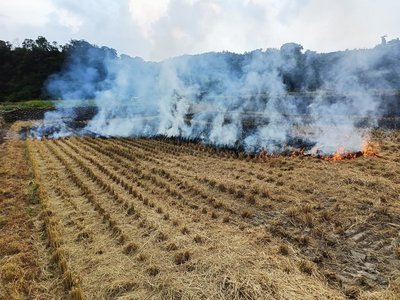 苗縣連2年裁罰露燃逾百件  籲用分解菌處理農廢