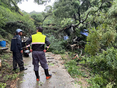 凱米颱風直撲馬祖  17件災情大多為路樹傾倒