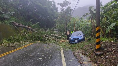 颱風凱米吹倒路樹 台中谷關某飯店員工車輛受困