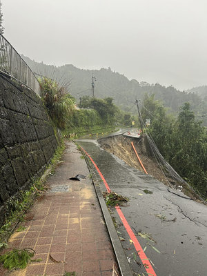 南投路樹倒塌、土石崩落碰觸線路 台電逐段搶修