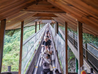 廣西德天瀑布景���「魔毯」故障  1死60傷