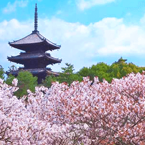 日本旅遊 私房景點