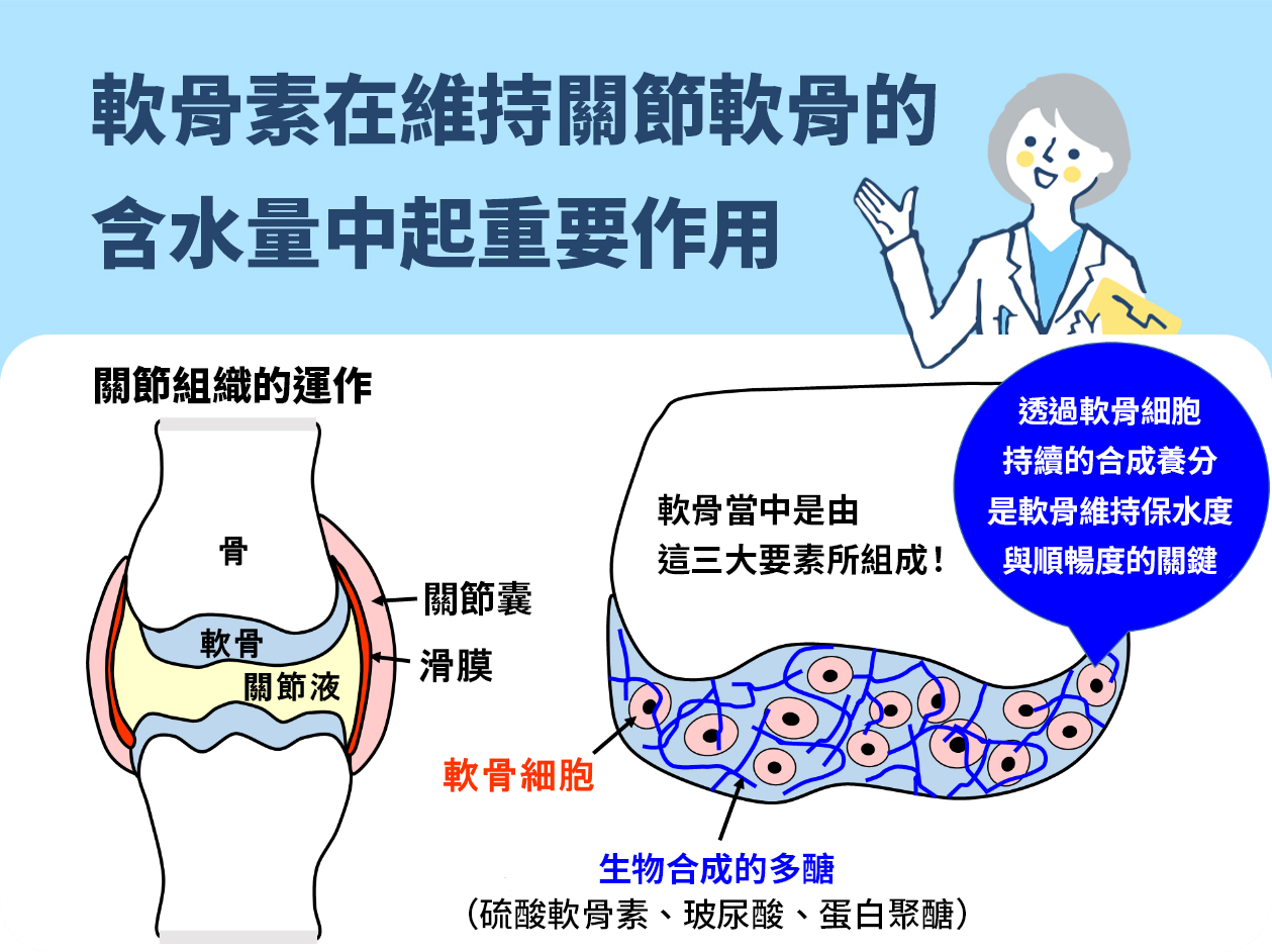 志瑞亞軟骨素