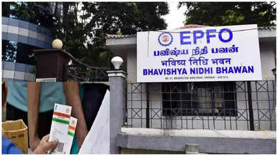 EPFO : ಪಿಎಫ್ ಅಕೌಂಟ್‌ನಲ್ಲಿ ಹೊಸ ಮೊಬೈಲ್ ನಂಬರ್‌ ಅಪ್‌ಡೇಟ್‌ ಮಾಡುವುದು ಹೇಗೆ? 