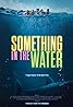 Something in the Water Poster