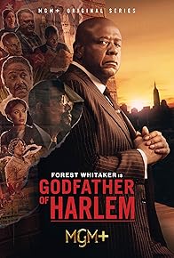 Primary photo for Godfather of Harlem