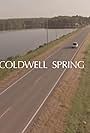 Coldwell Spring (2022)